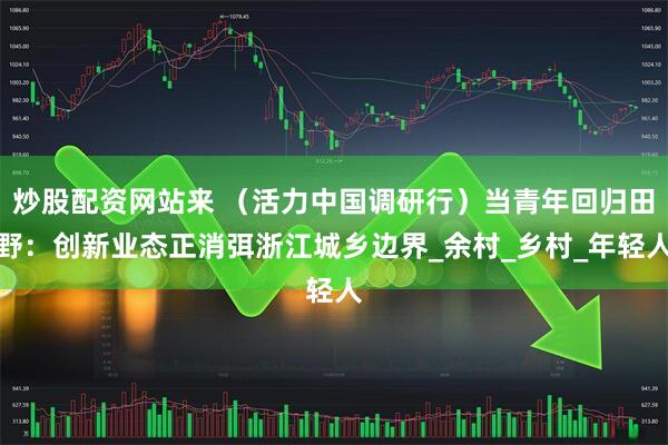 炒股配资网站来 （活力中国调研行）当青年回归田野：创新业态正消弭浙江城乡边界_余村_乡村_年轻人