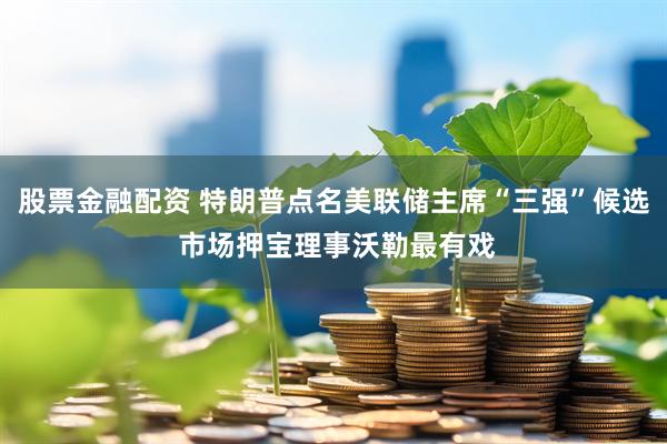 股票金融配资 特朗普点名美联储主席“三强”候选 市场押宝理事沃勒最有戏