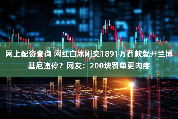 网上配资查询 网红白冰刚交1891万罚款就开兰博基尼违停？网友：200块罚单更肉疼